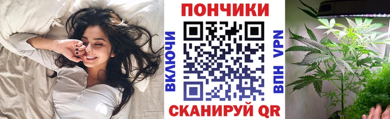 Шишки марихуана конопля  Рубцовск 